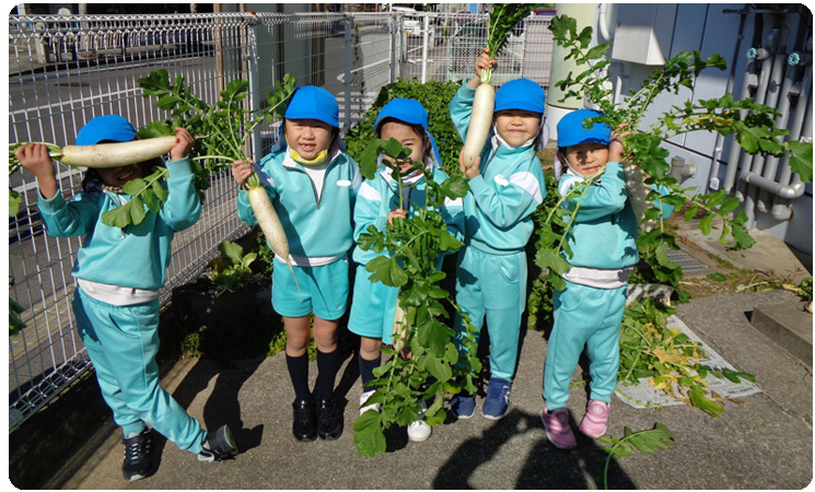 学校法人鳴鼓学園 認定こども園 鳴鼓幼稚園