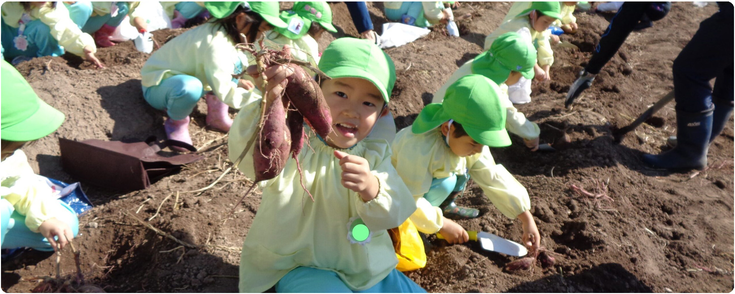 学校法人鳴鼓学園 認定こども園 鳴鼓幼稚園