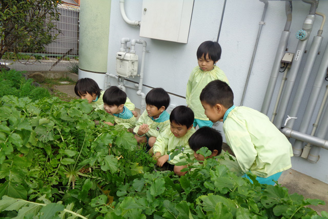 学校法人鳴鼓学園 認定こども園 鳴鼓幼稚園