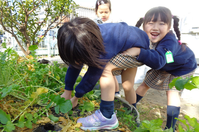 学校法人鳴鼓学園 認定こども園 鳴鼓幼稚園