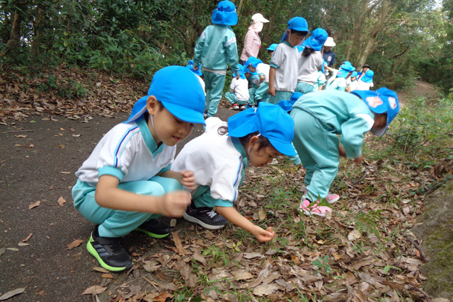 学校法人鳴鼓学園 認定こども園 鳴鼓幼稚園